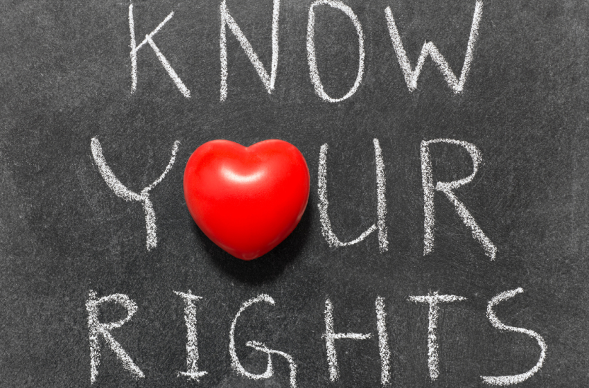 Native vs. Hybrid Apps: Which Is Right for Your Business?