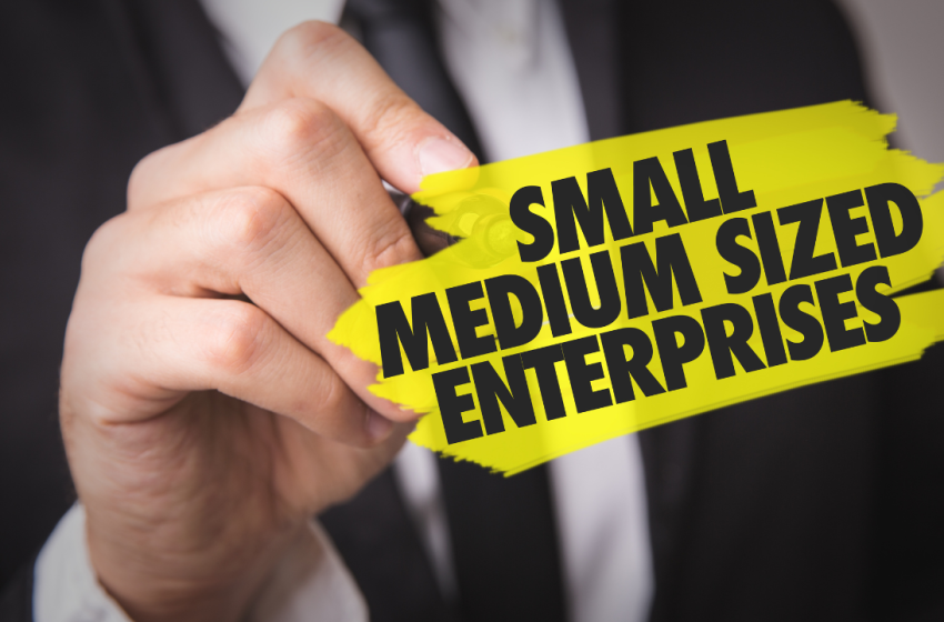 Cost-Effective Software Development for Small and Medium-Sized Businesses
